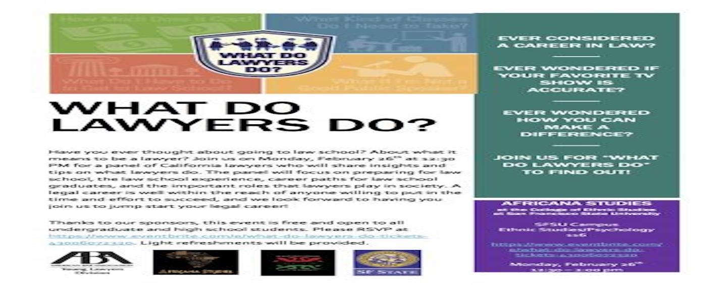 What Do Lawyers Do?