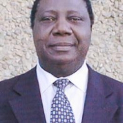 Theophile J Obenga